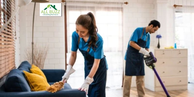 Professional Cleaners 