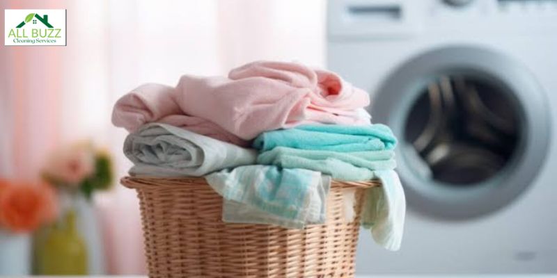 Same-Day Laundry Service